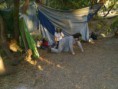 /album/fotogaleria-caceria-2014/a882315-10203531354745802-7882195800859782-o-jpg1/