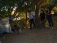 /album/fotogaleria-caceria-2014/a923193-10203531377386368-7320502728961924944-n-jpg1/