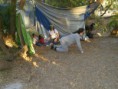 /album/fotogaleria-caceria-2014/a966552-10203531359425919-5946260631106368002-o-jpg1/