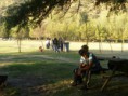 /album/fotogaleria-caceria-2014/a10012880-10203531269543672-2020997842324164761-o-jpg1/